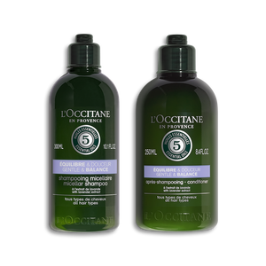 Duo Aromachology Gentle & Balanced Shampoo en Conditioner  | L’Occitane en Provence